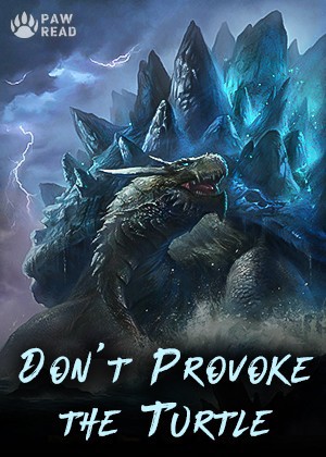 Don't Provoke the Turtle